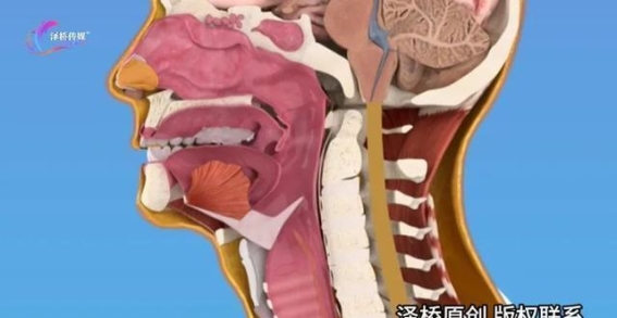 选择对的运动时间，减脂效果翻倍！