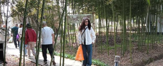 山窝里的竹林秘境，恍若人间仙境