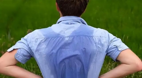 多吃蛋白，增强体质，夏季不再疲惫