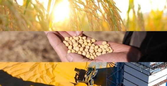 秋色渐浓：一路向北的丰收之旅