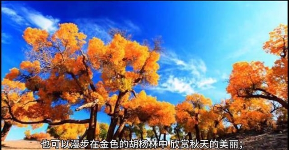 穿越内蒙古的自然奇观与人文魅力