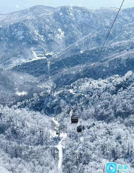 沂山雾凇：在冰雪的王国中漫步