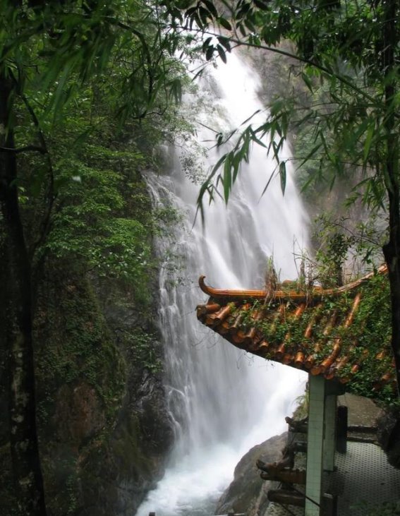 春意盎然，绿意盎然——南昆山的自然诗篇