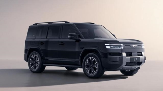 方程豹强势崛起：创新驱动下的市场突破