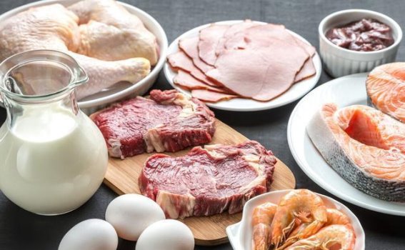 高蛋白饮食对老年人肾脏的隐患与如何科学摄入