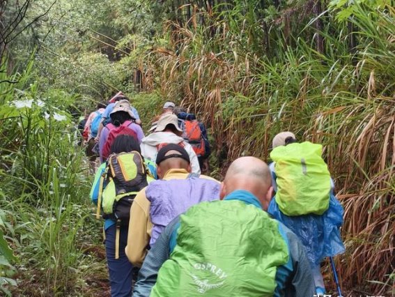 风雨黄土岭：春雨中的徒步之旅