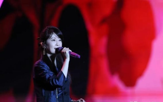 2025居庸山月·长城花海音乐会：文化与音乐的交响盛宴