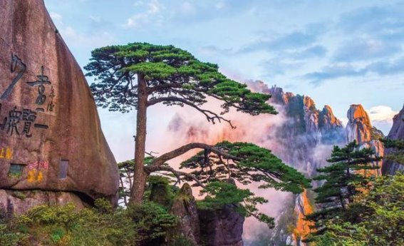 风景名胜区：美丽中国建设的标杆与示范