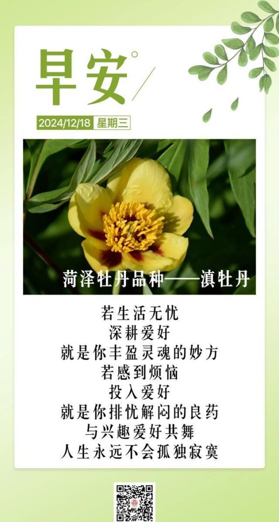 每一天都奔走在自己的热爱里：对漫漫人生最好的珍重与回馈