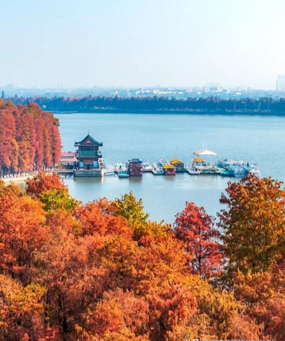 12月的武汉东湖，仿佛一幅流动的诗