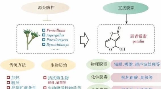 霉变橘子为何能卖出天价？背后的商机与危害探讨