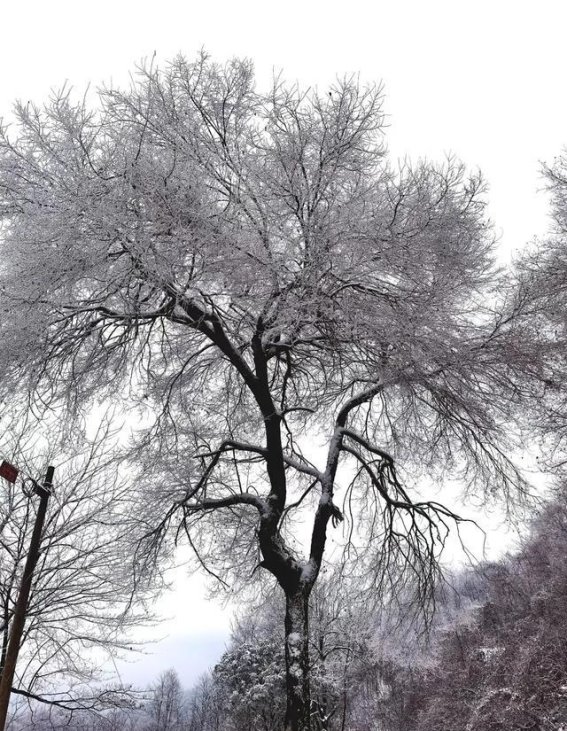 白河的冬天，雪花与山川共舞