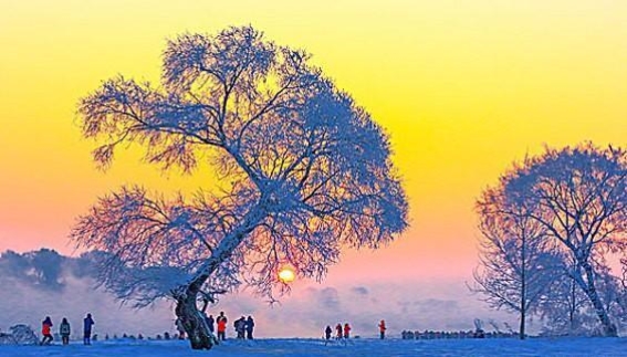 吉林冰雪之旅：冬日奇境的探寻