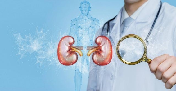 保护肾脏，延缓衰退的六字秘诀