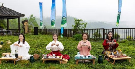 第四届千年金山红古树茶采摘季暨山地户外运动活动：传承与创新的文化盛宴