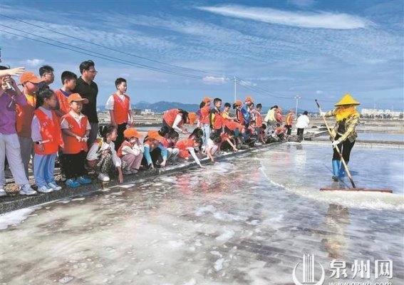 泉州盐业的转型升级之路：绿色发展与创新驱动