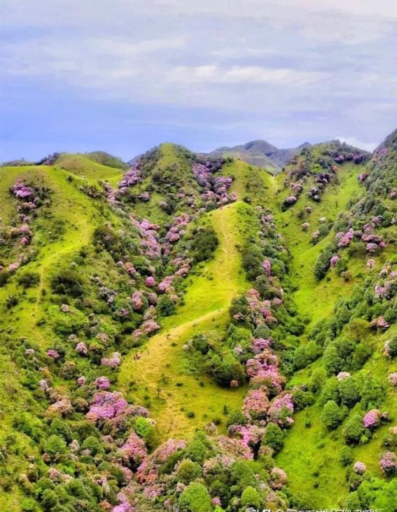广东人心动不已的“神仙草甸”，等你来探秘！