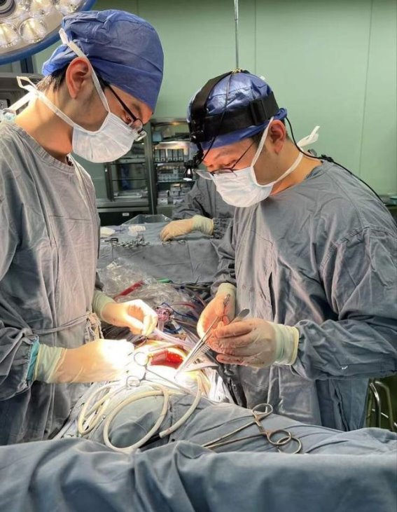 车祸生死时速，急诊科的抢救与医学协作