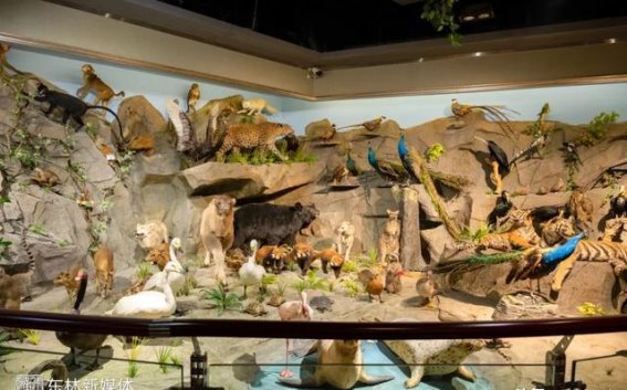 冬日里的冰雪奇缘——跟随东林一起畅游冬季校园