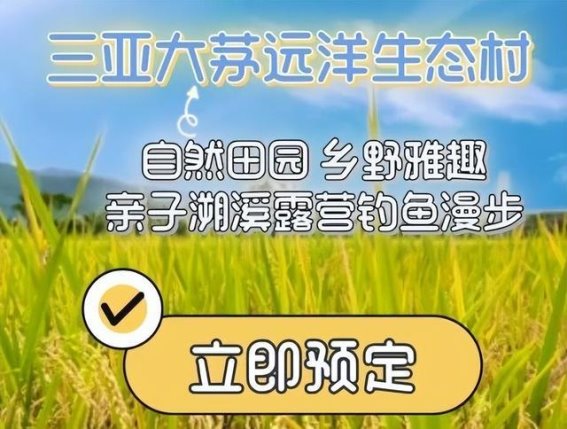 三亚的自然诗篇：探寻大茅远洋生态村的魅力