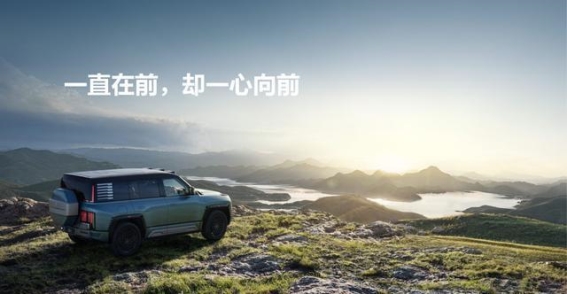 王传福与比亚迪：引领全球新能源汽车新时代