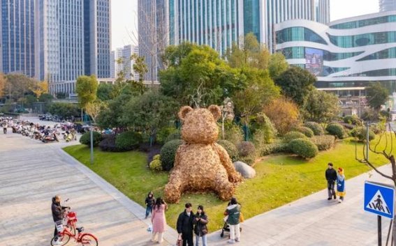 冬日暖阳中的秋叶奇缘，萧山又迎来艺术狂欢