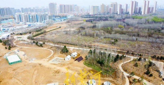 大辛庄考古遗址公园建设新进展 博物馆与园林景观完美融合