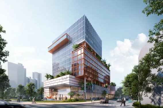 重生与传承：泉州八一酒店重建计划全面揭秘！