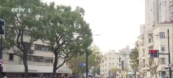 免签效应下的韩国游客热潮：上海迎来“周末旅行新风潮”