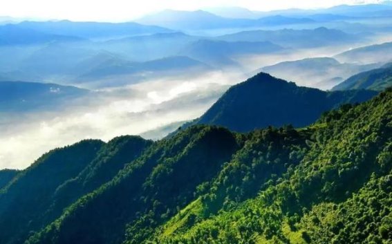 哀牢山生态旅游的共识与未来发展