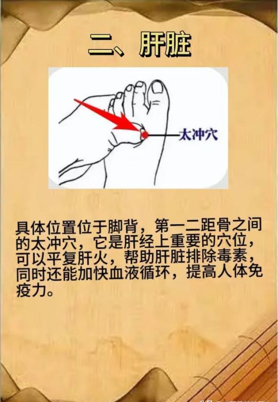 每天五分钟，呵护五脏，健康从此开始
