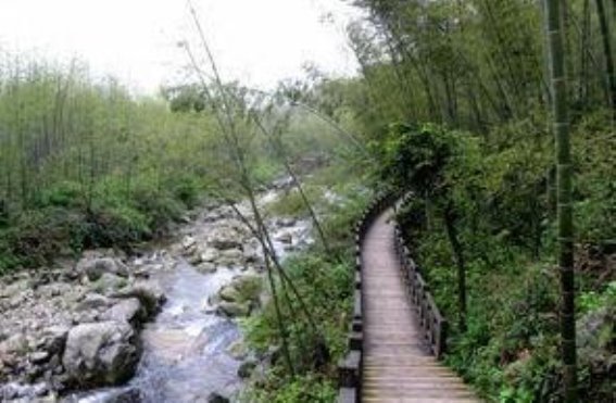 踏访明月山 探寻道之韵