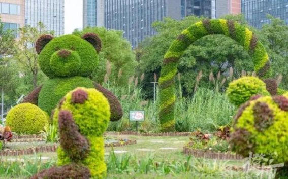 杭州的小熊公园：萌趣与绿意的交响乐