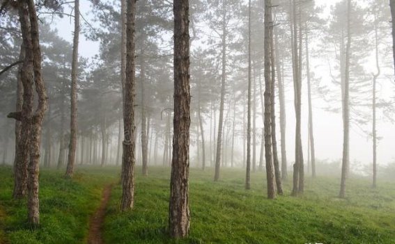 调理肝气，补脾的最高境界
