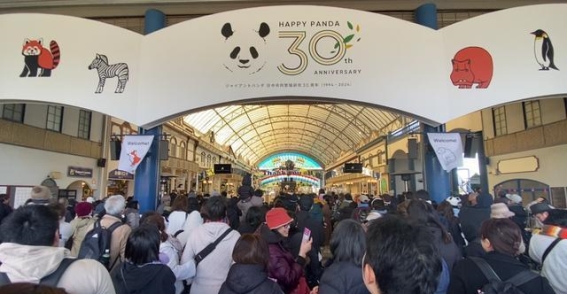 日本白滨的熊猫家族：良浜与她的孩子们