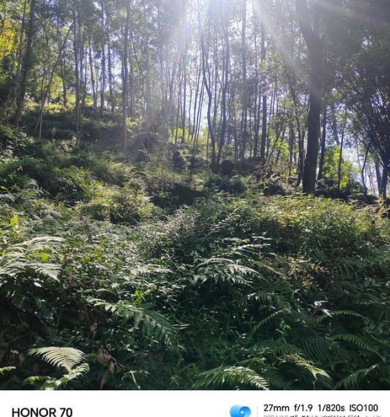 亲子踏青之旅：大邑药师岩的自然魅力