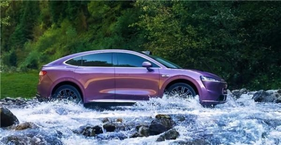 春日景致，光影与心灵的共舞