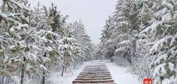 大兴安岭四月飞雪，银装素裹美如画