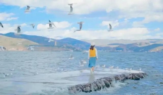 理想人生的三大支柱：健康、财富与心态的平衡