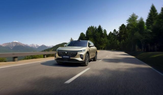 全新岚图知音正式上市：20万起享华为全家桶智能体验