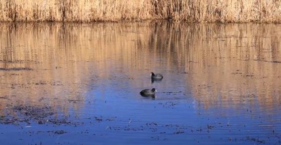 泸沽湖的生态蓝：保护与发展的共生之道