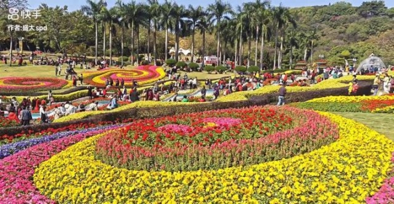 广州的春天，云台花园花开满园