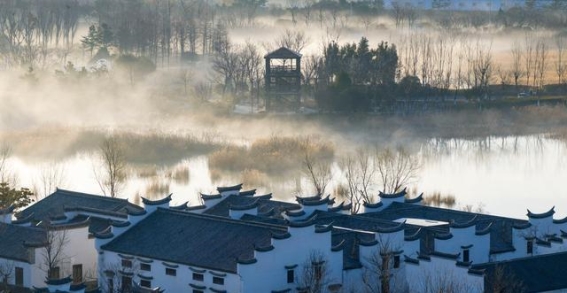 三月清晨，唐岛湾湿地公园的晨雾与春风