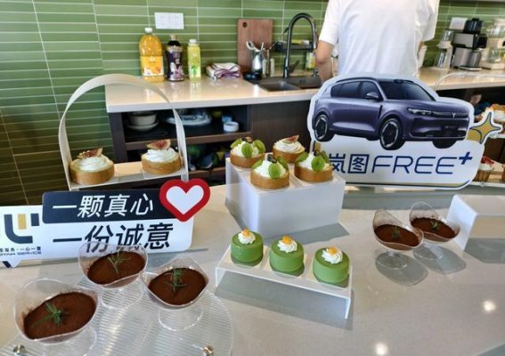 岚图车主集体交付仪式：感受温暖与热情