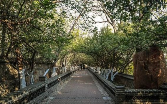 冬季烟台：坐公交也能享受的海边之旅