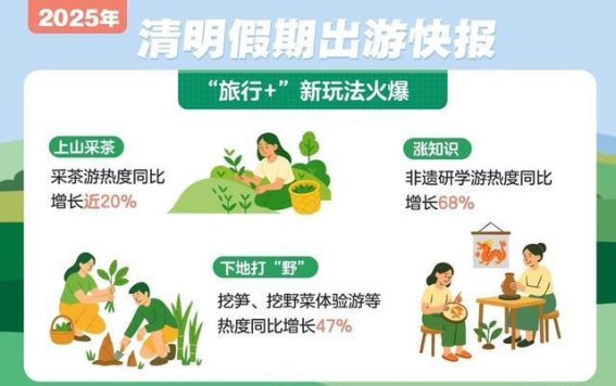 清明小长假上海文旅市场火爆，踏青赏花与街区潮玩成为新风尚