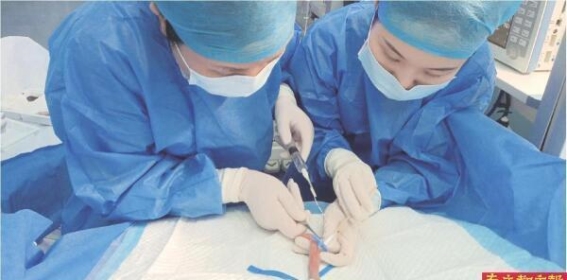 屡次创下全国超低体重早产儿成功救治纪录 深圳市妇幼保健院新生儿科的传奇