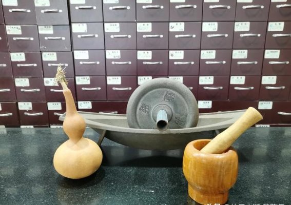 药食同源，智慧养生的力量