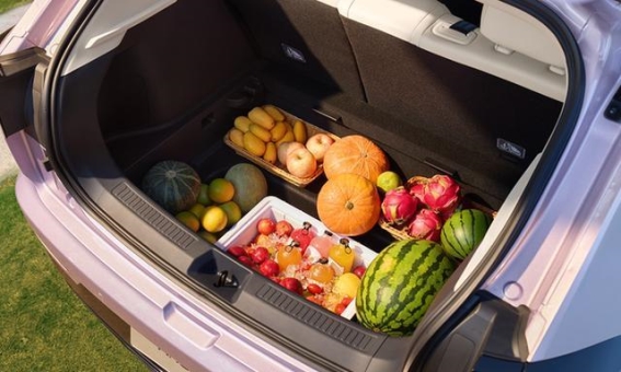 极狐T1：小车大空间的背后，挑战与机遇并存