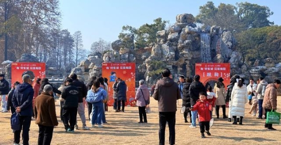 东湖梅园梅花盛放，春光无限